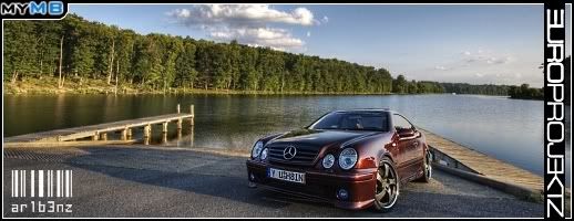 FOUND IT ECU RESET PROCEDURE visual data 8